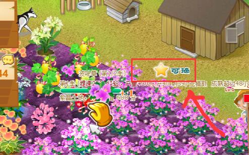 QQ农场最新版下载